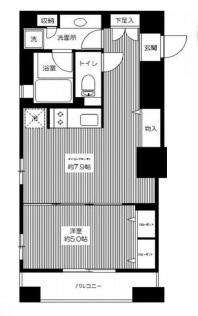 カスタリア高輪台 501 間取り図