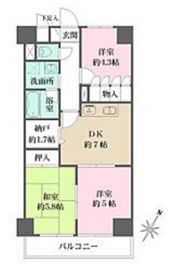 ウィスターリア本駒込 302 間取り図