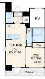 (仮称)アルカンシエル新宿大京町 501 間取り図