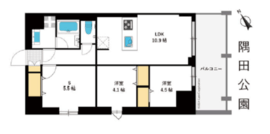 東京マンション 204 間取り図