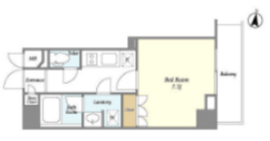 Belle ville 錦糸町 501 間取り図