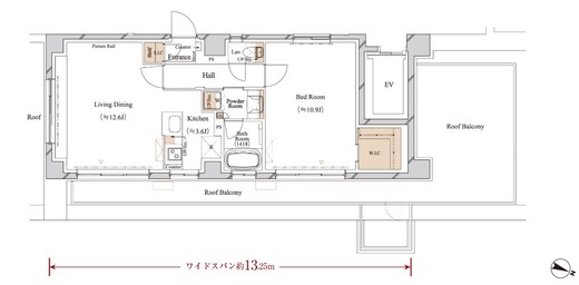 ブランシエスタ江古田 501 間取り図