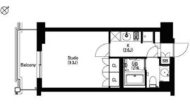 エスティメゾン武蔵小山2 207 間取り図