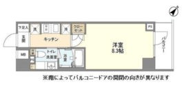 YSレジデンス代田橋 101 間取り図