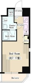 DORMOUSE TOWER 504 間取り図