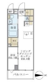 La Perla NAKANO (ラペルラ中野) 203 間取り図