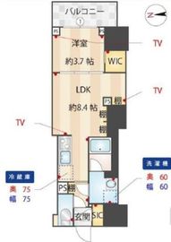 ZOOM信濃町 4階 間取り図