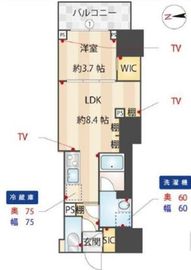 ZOOM信濃町 3階 間取り図