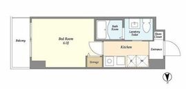 グリーンリーフ新綱島 305 間取り図