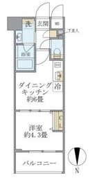 プラティーク目白 101 間取り図