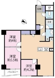 ドミール五番町 11階 間取り図