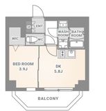 スプランディッド木場駅前 501 間取り図
