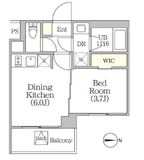 イプセ四谷テラス 204 間取り図