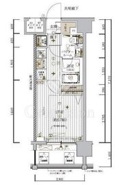 メインステージ東神奈川 11階 間取り図