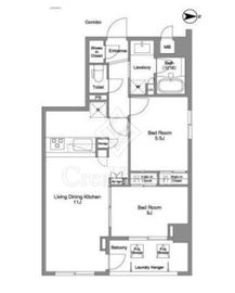 コンフォリア西新井 601 間取り図