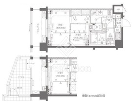 ZOOM新宿西落合 1階 間取り図
