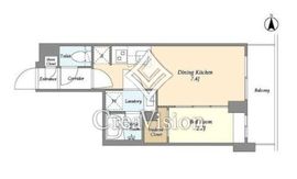 スタイリオフィット武蔵小杉Ⅱ 802 間取り図