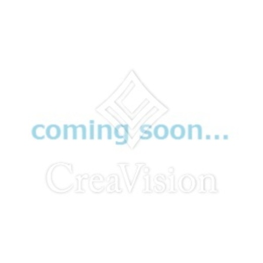 ザ・シティレジデンス新宿 402 間取り図