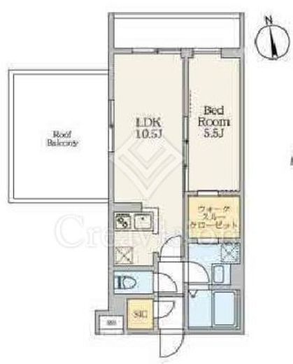 S-RESIDENCE駒場東大前 (エスレジデンス駒場東大前) 303 間取り図