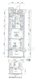日神デュオステージ三ツ沢公園 6階 間取り図