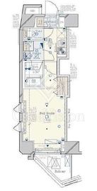 コンシェリア新宿御苑 301 間取り図