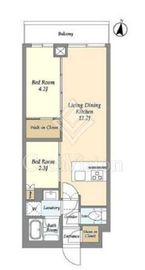 アジールコート練馬中村橋 311 間取り図