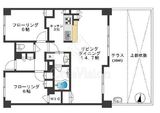 シェフルール阿佐ヶ谷 1階 間取り図