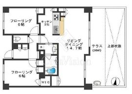 シェフルール阿佐ヶ谷 1階 間取り図