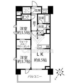クリオラベルヴィ横濱サウス 901 間取り図