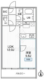 THE PALMS MUSE 新江古田 101 間取り図