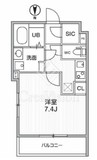 THE PALMS MUSE 新江古田 207 間取り図