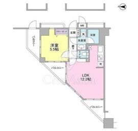 ラフィーネデュオ 9階 間取り図