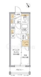 リビオメゾン田端 803 間取り図