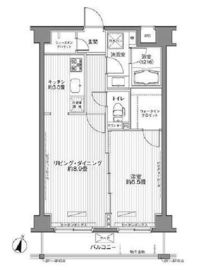 メゾンカルム西新宿 503 間取り図