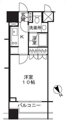 ドゥーエ日本橋 507 間取り図