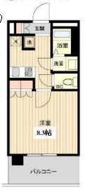 ラクアスレジデンス東新宿 801 間取り図