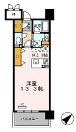 ロイヤルパークス豊洲 436 間取り図