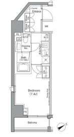 ミレーネ品川荏原 504 間取り図