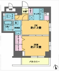 カスタリア新富町 1101 間取り図