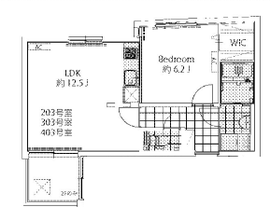 ラピス青山 203 間取り図