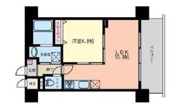 コーチェ芝公園 202 間取り図