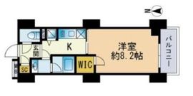 セレニティコート渋谷神泉 203 間取り図