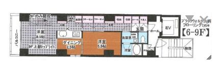 LILIO小石川 801 間取り図