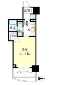 マイプレジール広尾 802 間取り図