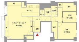 南青山第一マンションズ 10階 間取り図