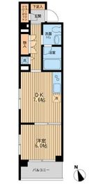 コンフォリア大森鹿島 401 間取り図