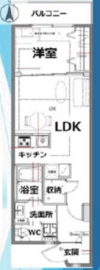 シティコート目黒 3-202 間取り図