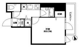 シティスパイア新富町 501 間取り図