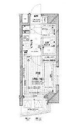 パレステュディオ中目黒 13階 間取り図