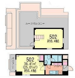 ラフィーヌ駒場クラシック 502 間取り図